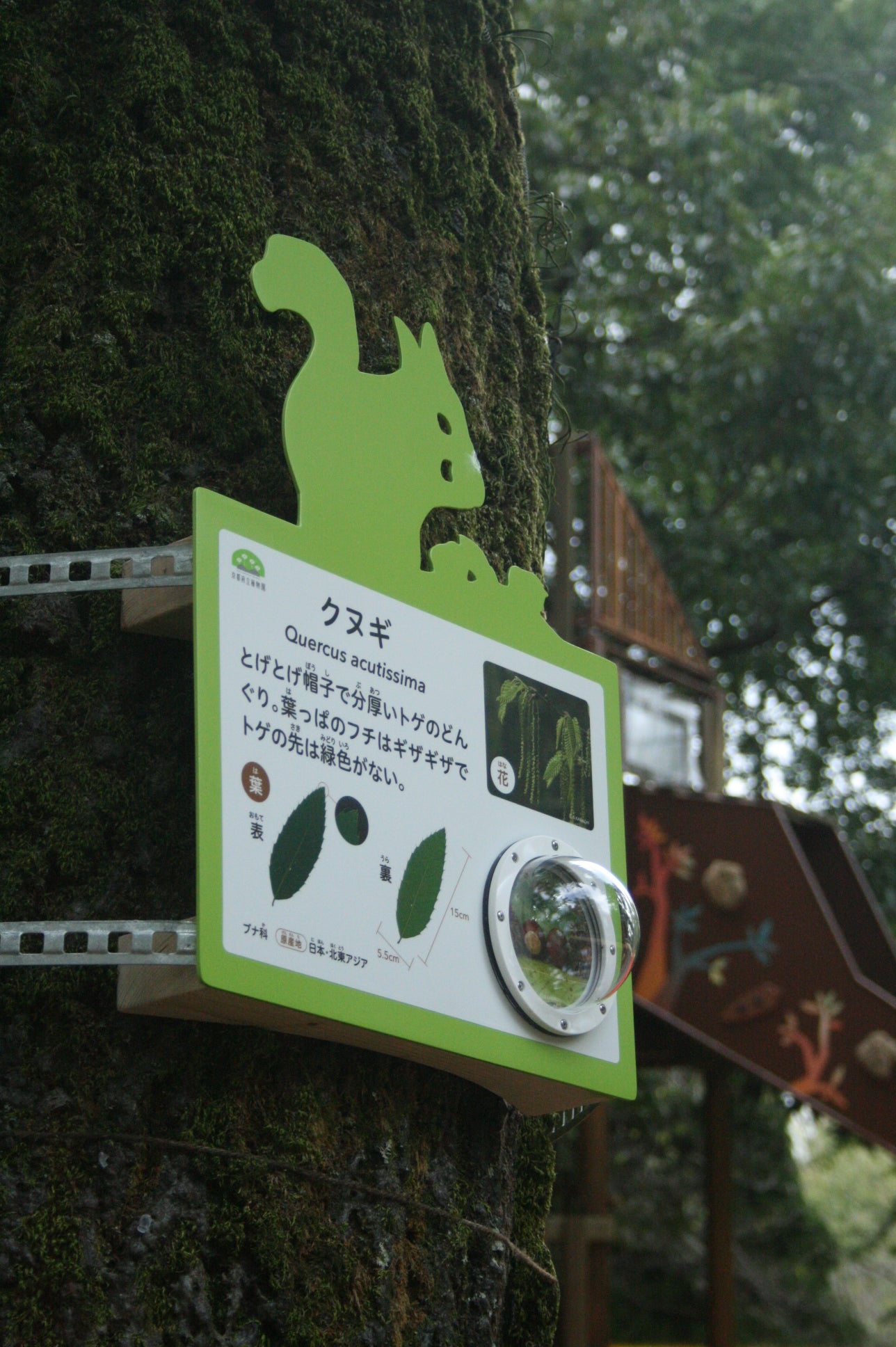 京都府立植物園 どんぐりの森「Dongreen Lab（どんぐりーんらぼ）」